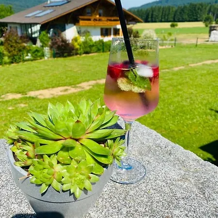 Penzion Landgasthof Brandtner Wirt Langdorf (Regen)