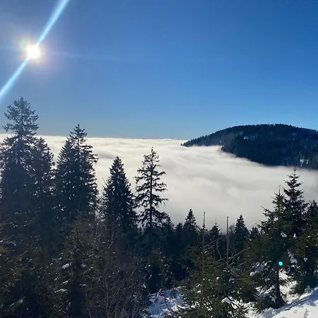 Landgasthof Brandtner Wirt Penzion 3*