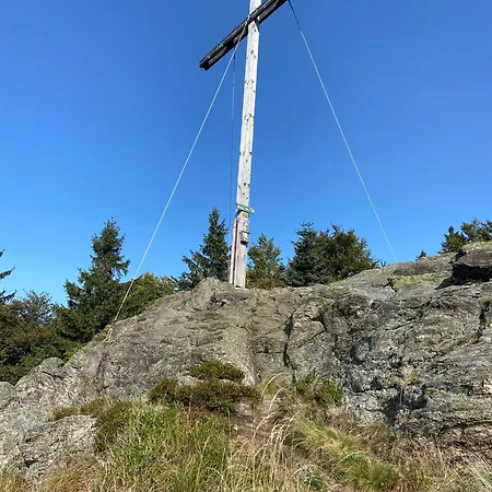 Landgasthof Brandtner Wirt Penzion Langdorf (Regen)