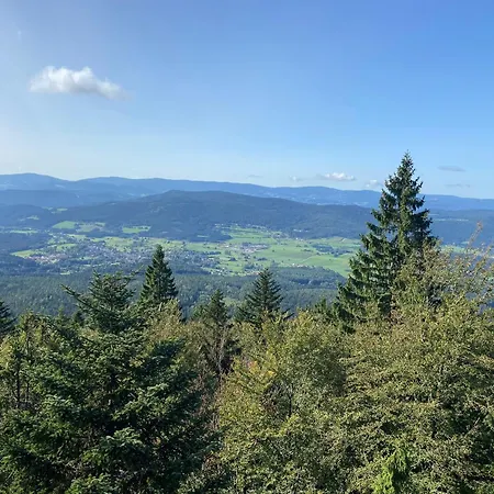 Landgasthof Brandtner Wirt Langdorf (Regen)