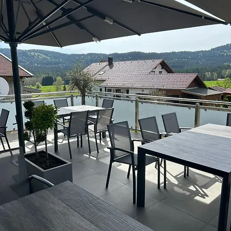 Penzion Landgasthof Brandtner Wirt Langdorf (Regen)