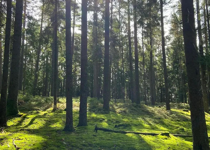 Landgasthof Brandtner Wirt 3*