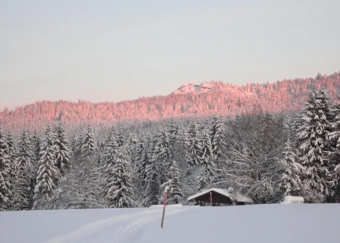 Guest house Landgasthof Brandtner Wirt