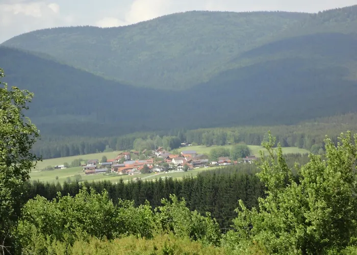 Landgasthof Brandtner Wirt Langdorf (Regen)