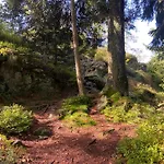 Landgasthof Brandtner Wirt Langdorf (Regen)