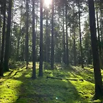 Landgasthof Brandtner Wirt 3*
