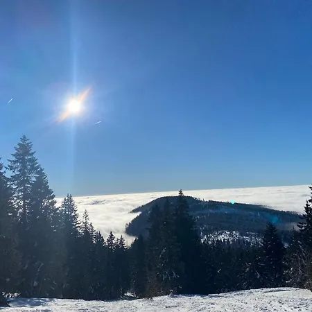 Landgasthof Brandtner Wirt Gasthof 3*