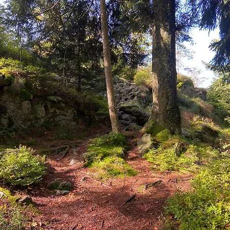 Landgasthof Brandtner Wirt Langdorf (Regen)