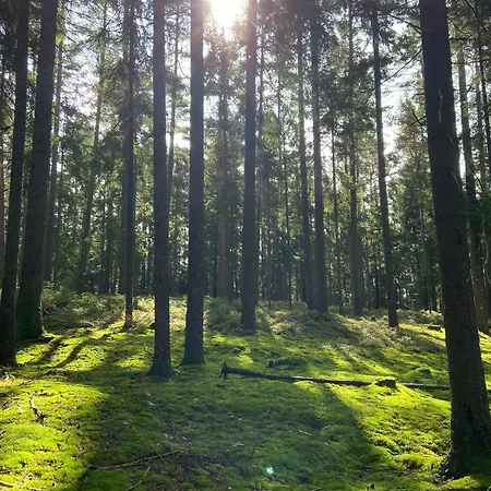 Landgasthof Brandtner Wirt 3*